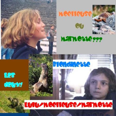 La moelleuse
